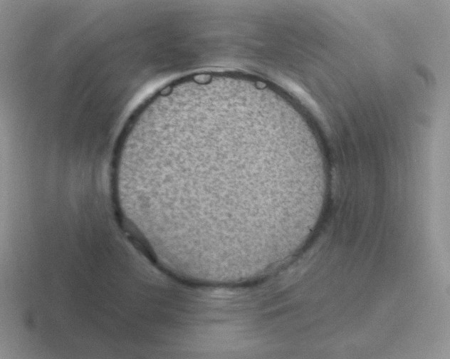 X0000116591412201001071225