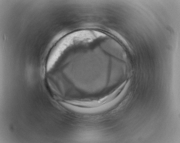 X0000116591413201001071225