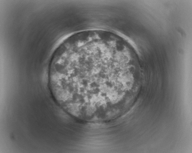 X0000116591415201001071225