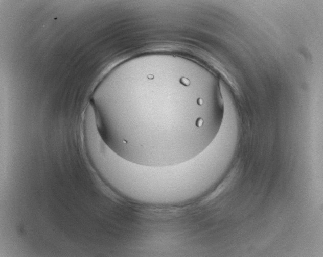 X0000116591417201001071225