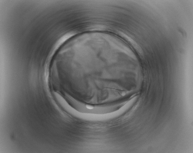 X0000116591418201001071225