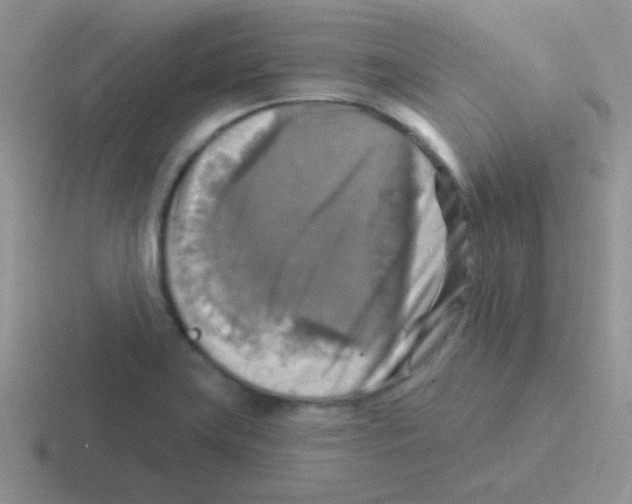 X0000116591419201001071225