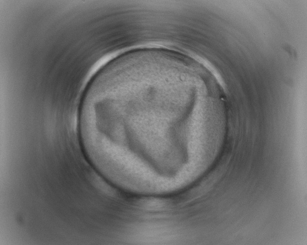 X0000116591420201001071225