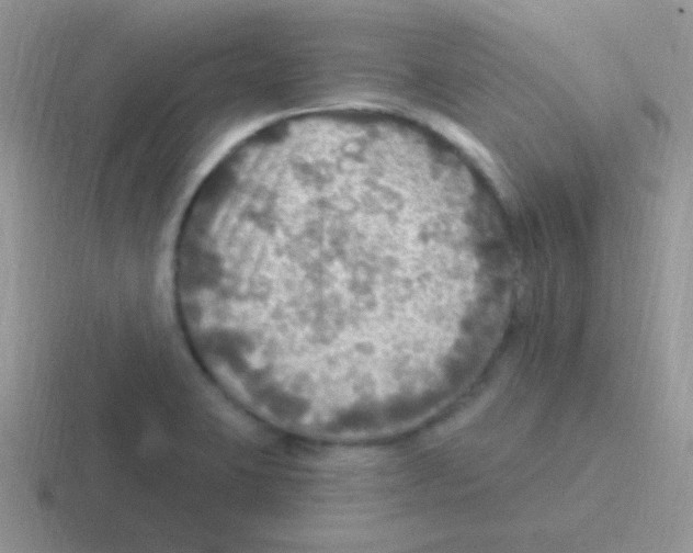 X0000116591423201001071225