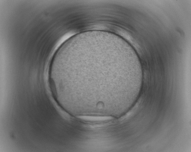 X0000116591426201001071225