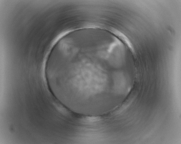 X0000116591427201001071225