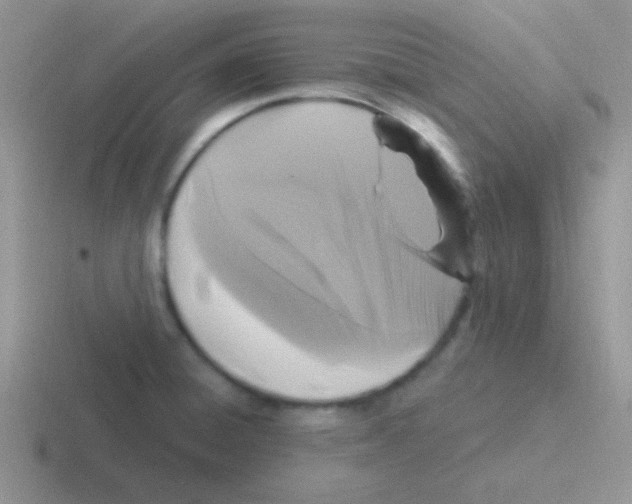 X0000116591428201001071225