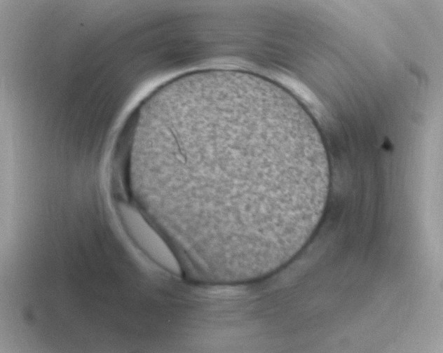 X0000116591430201001071225