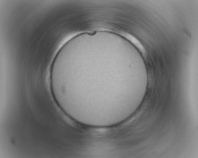 X0000116591431201001071225