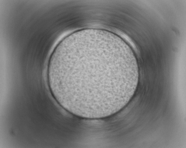 X0000116591432201001071225