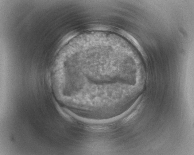 X0000116591433201001071225