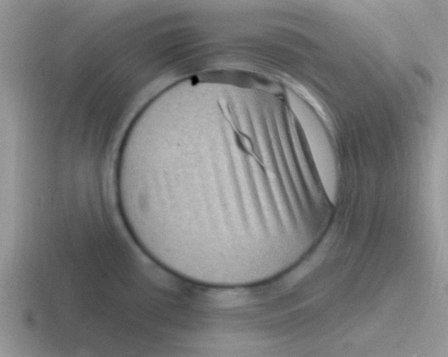 X0000116591434201001071225