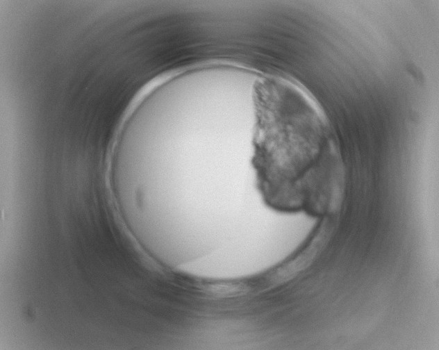 X0000116591436201001071225