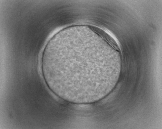 X0000116591437201001071225