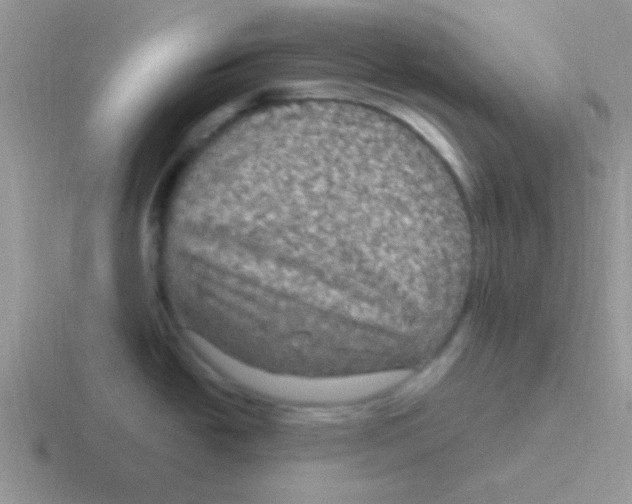 X0000116591438201001071225