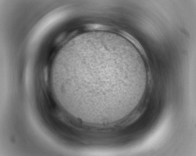 X0000116591439201001071225