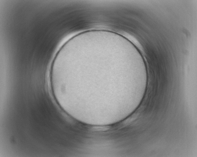 X0000116591440201001071225