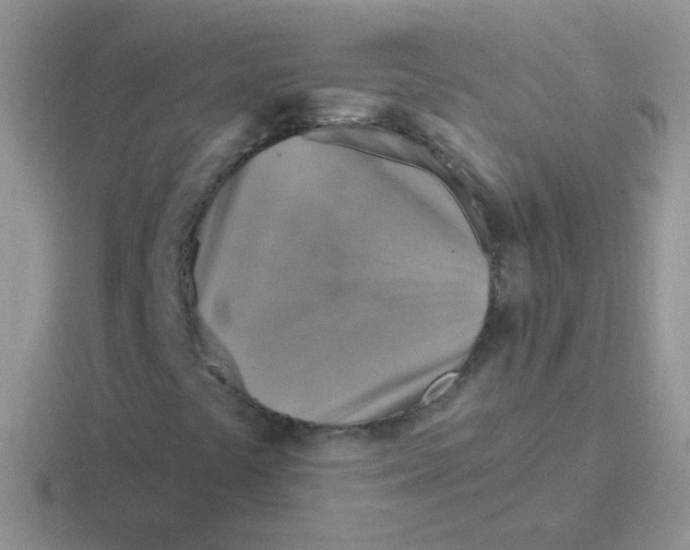 X0000116591441201001071225