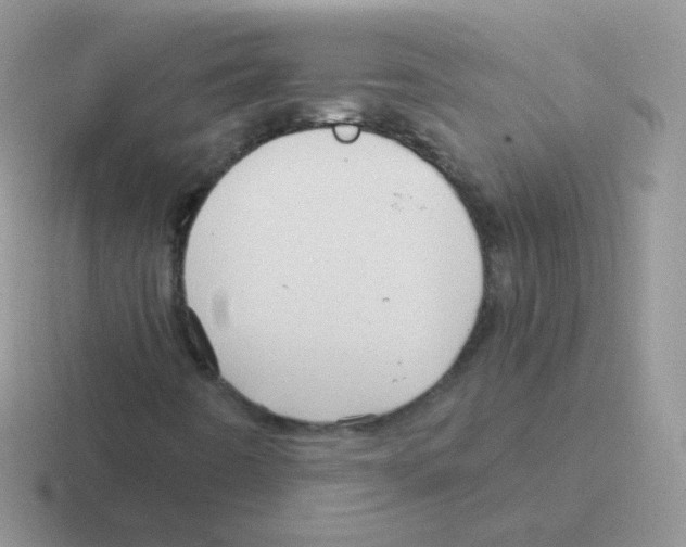 X0000116591442201001071225