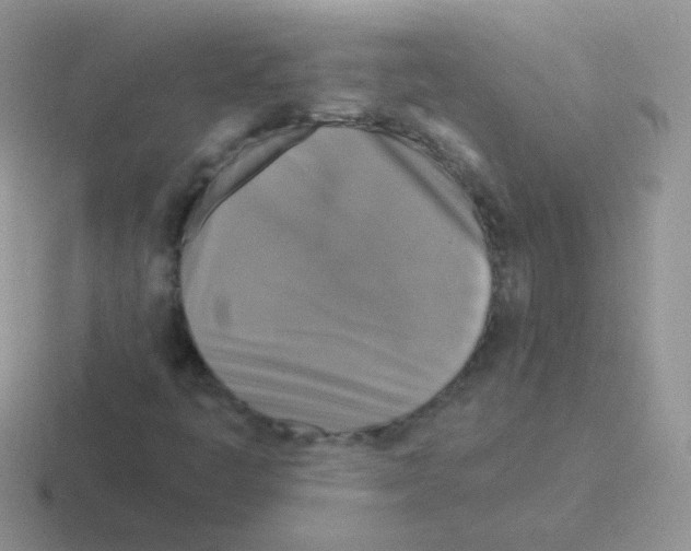 X0000116591445201001071225