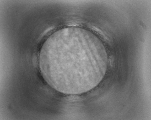 X0000116591446201001071225