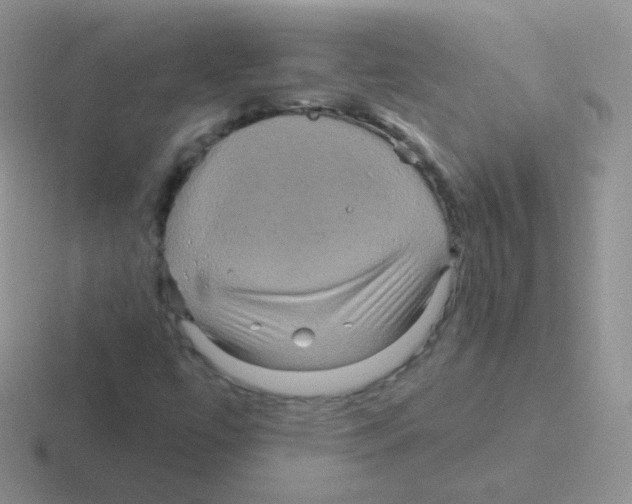 X0000116591447201001071225