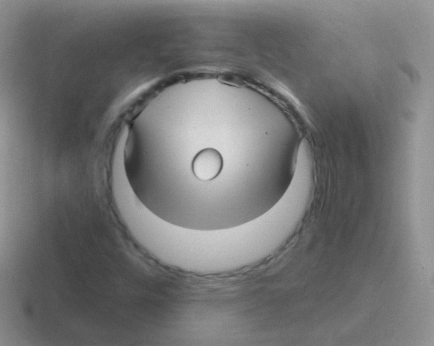 X0000116591448201001071224