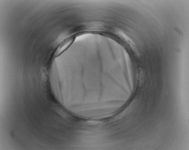 X0000116591449201001071224