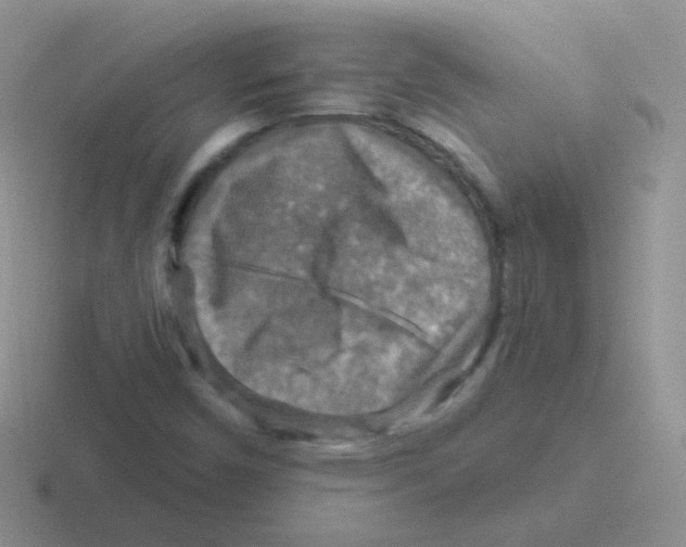 X0000116591450201001071224