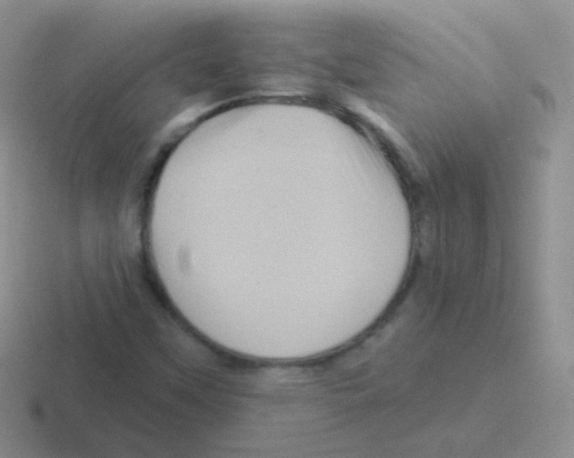 X0000116591451201001071224