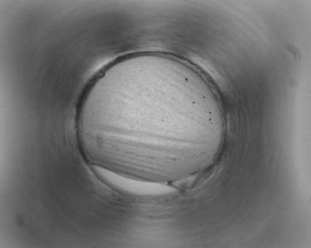 X0000116591452201001071224