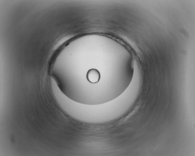 X0000116591453201001071224