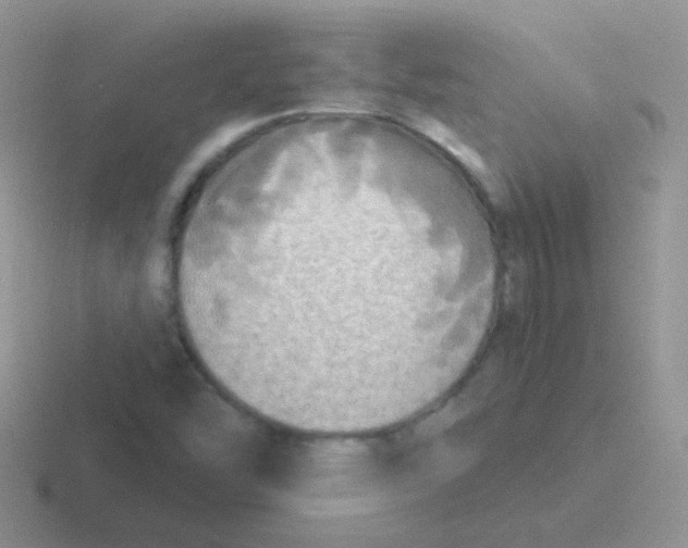 X0000116591454201001071224