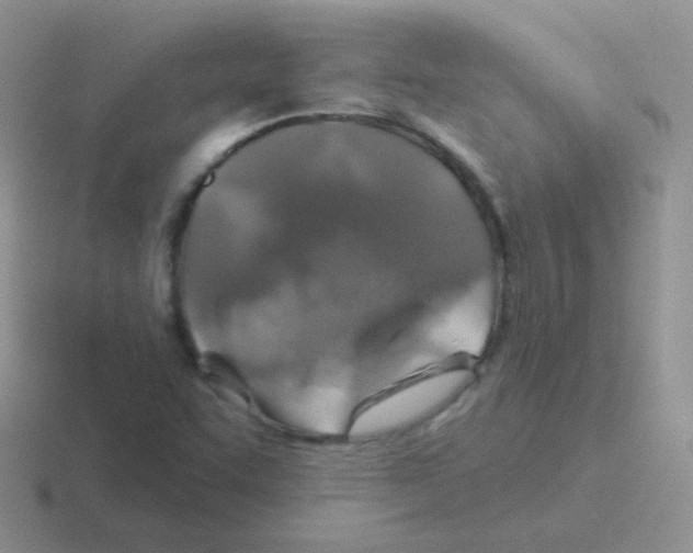 X0000116591455201001071224