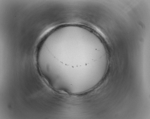 X0000116591456201001071224