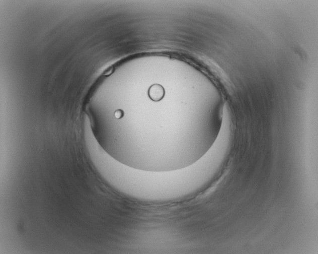 X0000116591457201001071224