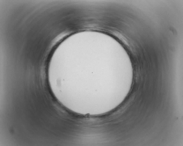 X0000116591458201001071224