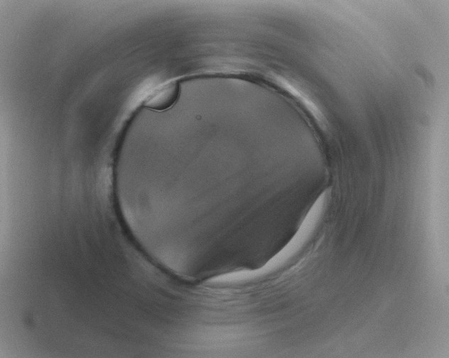 X0000116591459201001071224