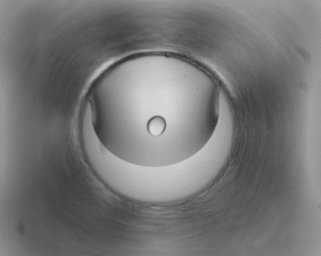 X0000116591460201001071224