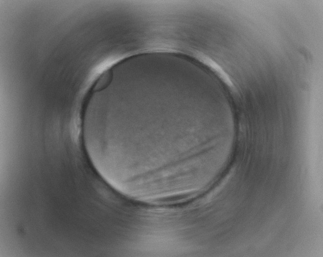 X0000116591461201001071224