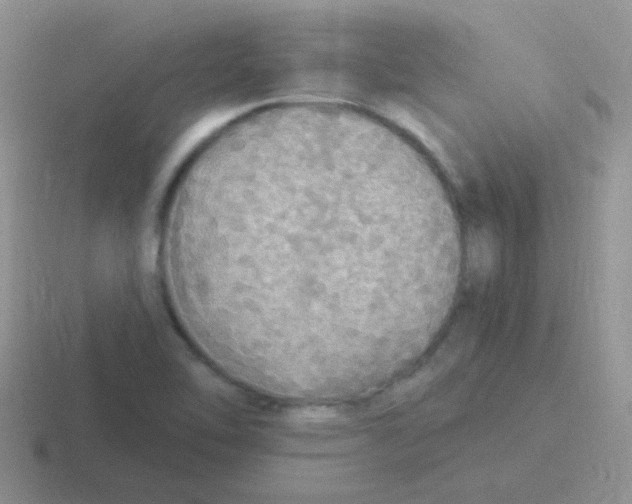 X0000116591462201001071224