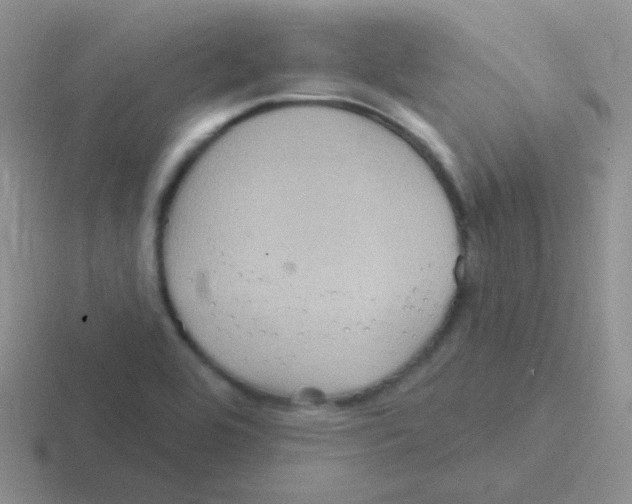 X0000116591464201001071224