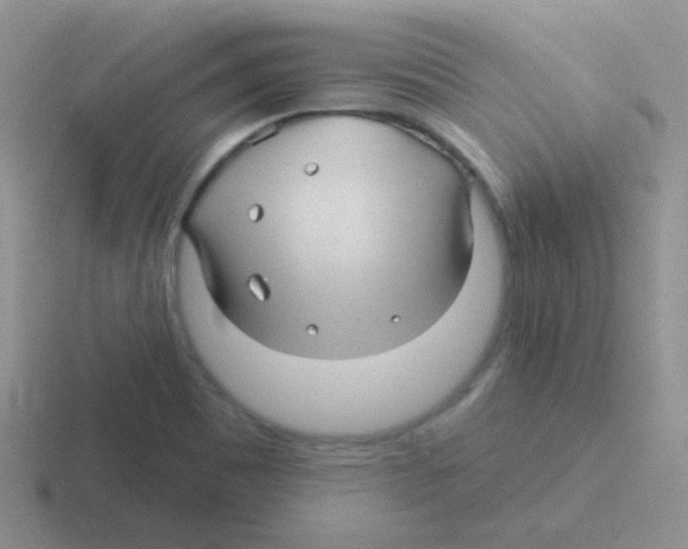 X0000116591465201001071224