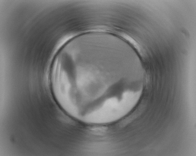 X0000116591466201001071224