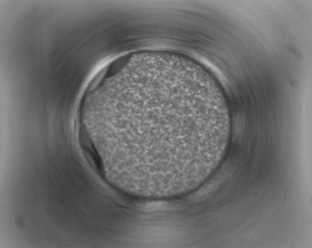 X0000116591467201001071224