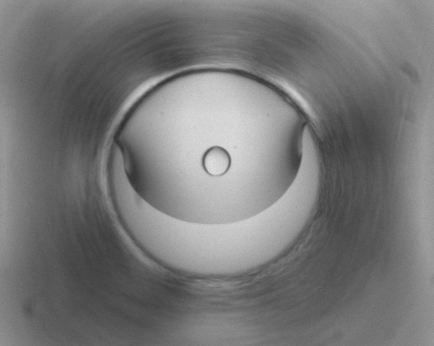 X0000116591468201001071224