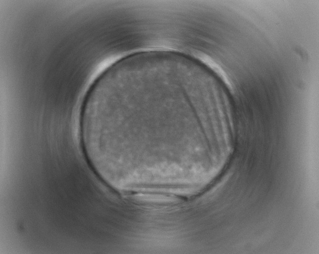 X0000116591469201001071224