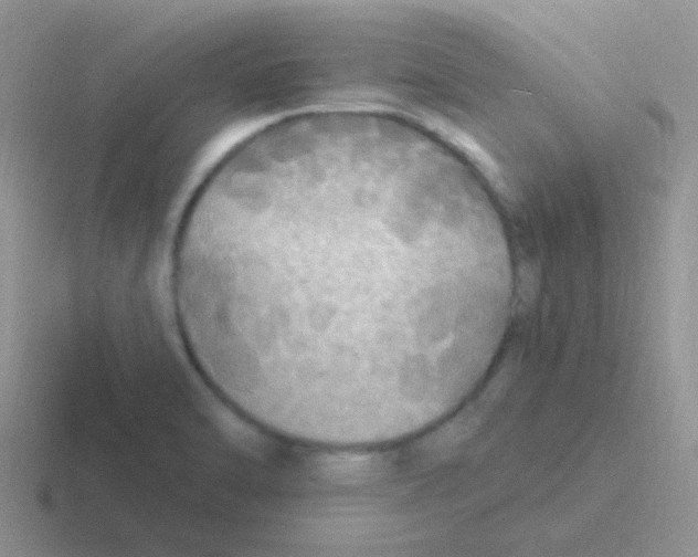 X0000116591470201001071224