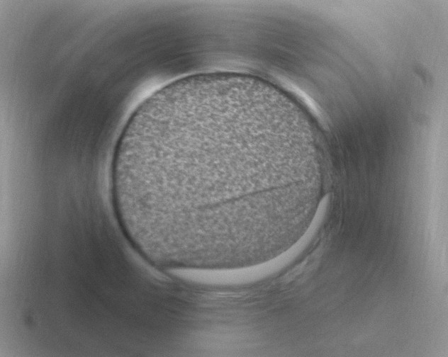 X0000116591471201001071224