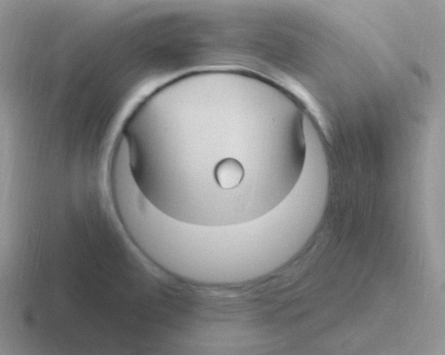 X0000116591472201001071224